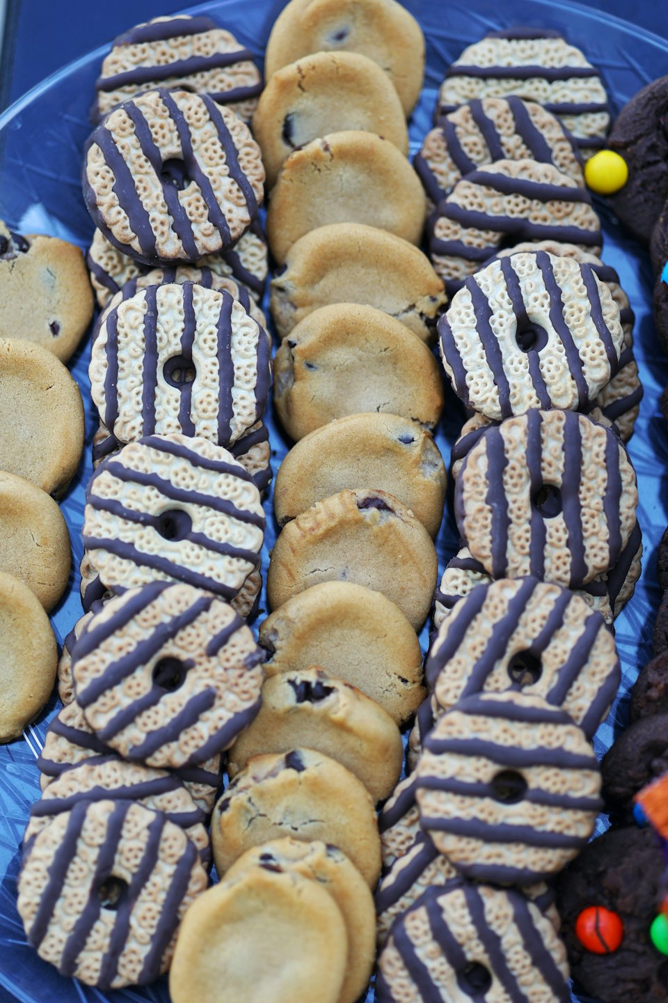 Un assortimento di vari biscotti confezionati in un vassoio blu.